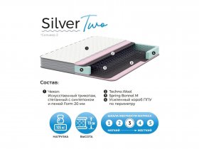 Матрас Silver Two в Лебедёвке - lebedyovka.mebel-nsk.ru | фото
